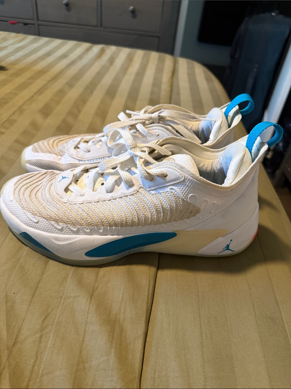 Jordan White and Teal Men's Basketball Sneakers